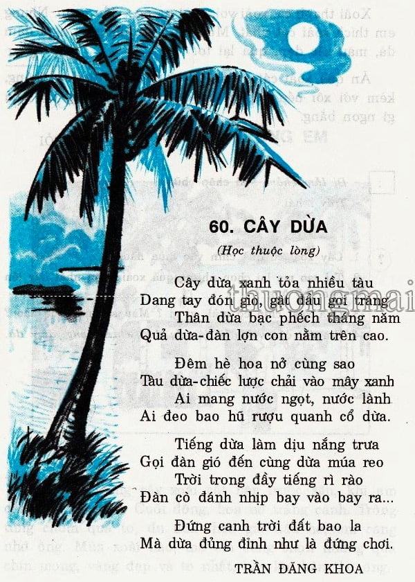 Cây dừa | Bài thơ Cây dừa: Cây dừa xanh toả nhiều tàu