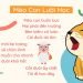 Mèo Con Lười Học | Bài thơ Mèo Con Lười Học