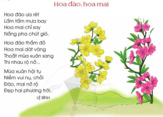 Hoa đào hoa mai | Bài thơ Hoa đào hoa mai (Lệ Bình)