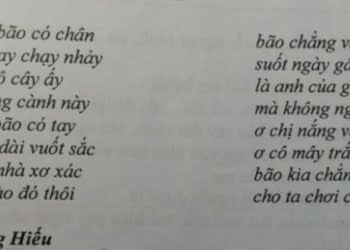 Bão | Bài thơ Bão (Phan Trung Hiếu)