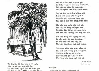 Dừa ơi | Bài thơ Dừa ơi: Tôi lớn lên đã thấy dừa trước ngõ