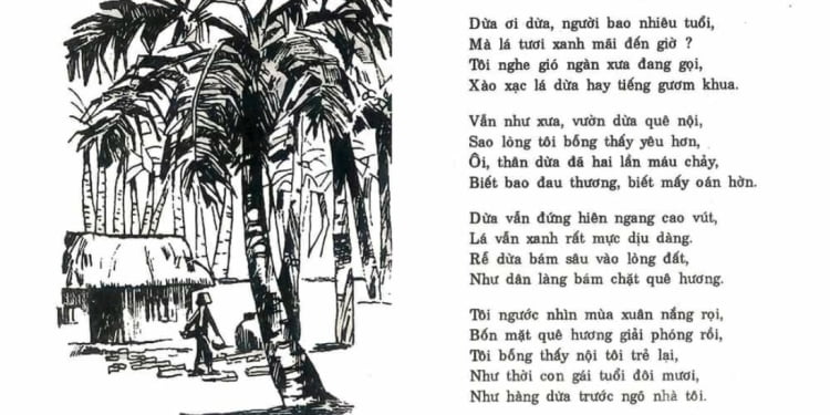 Dừa ơi | Bài thơ Dừa ơi: Tôi lớn lên đã thấy dừa trước ngõ