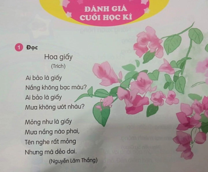 Hoa giấy | Bài thơ Hoa giấy (Nguyễn Lãm Thắng)