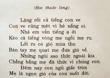 Bài thơ Mẹ (Trần Quốc Minh): Lặng rồi cả tiếng con ve