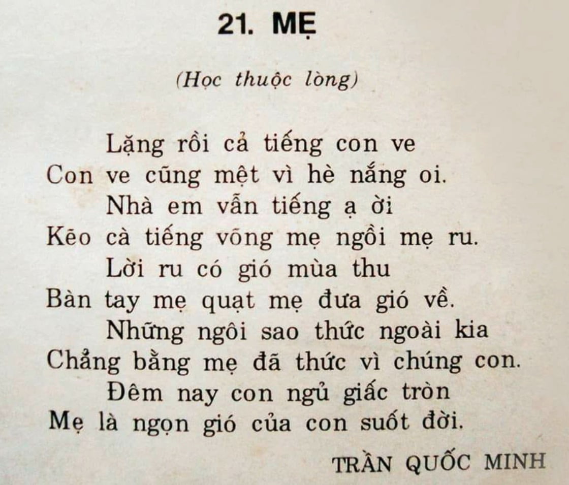 Bài thơ Mẹ (Trần Quốc Minh): Lặng rồi cả tiếng con ve