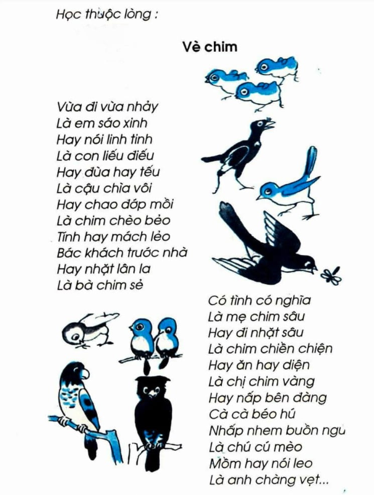 Vè chim (SGK Tiếng Việt 2)