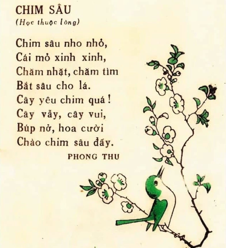 Bài thơ Chim sâu: Chim sâu nho nhỏ, Cái mỏ xinh xinh