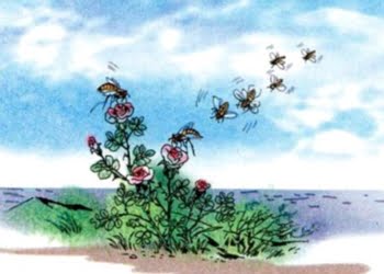 Bài thơ Hành trình của bầy ong: Với đôi cánh đẫm nắng trời, Bầy ong bay đến trọn đời tìm hoa