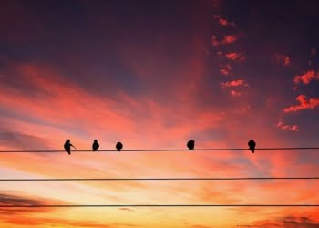 Một đường dây điện | Bài thơ Đường dây điện (Võ Quảng)