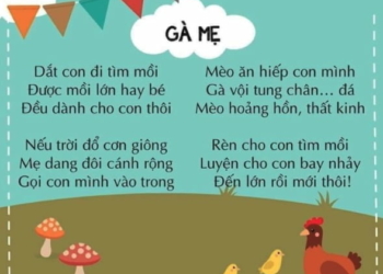 Gà mẹ | Bài thơ Gà mẹ (Nguyễn Lãm Thắng)
