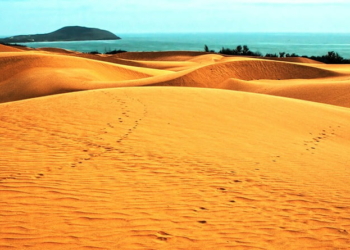Bài thơ Quê cát: Quê cát đựng một trời gió cát, Bãi lau thưa nhọn hoắt nắng hè