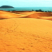 Bài thơ Quê cát: Quê cát đựng một trời gió cát, Bãi lau thưa nhọn hoắt nắng hè