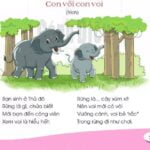 Con vỏi con voi | Bài thơ Con vỏi con voi (Nguyễn Hoàng Sơn)