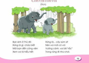 Con vỏi con voi | Bài thơ Con vỏi con voi (Nguyễn Hoàng Sơn)