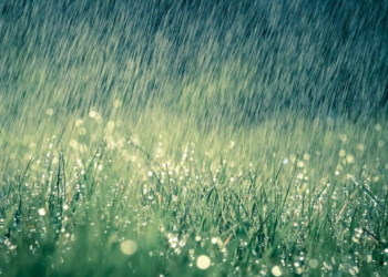 Tia nắng hạt mưa | Bài thơ Tia nắng, hạt mưa