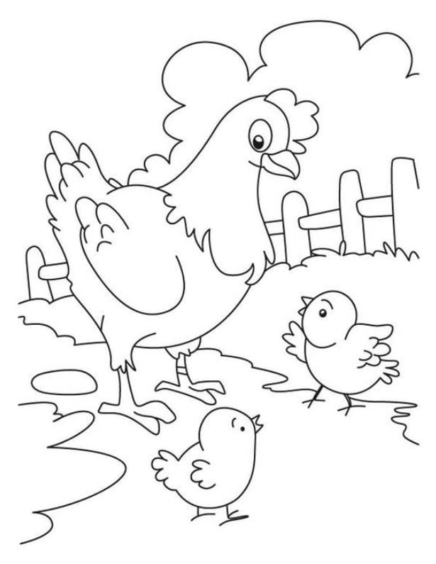 Tô màu Gà mẹ và gà con | Bài thơ Gà mẹ và gà con