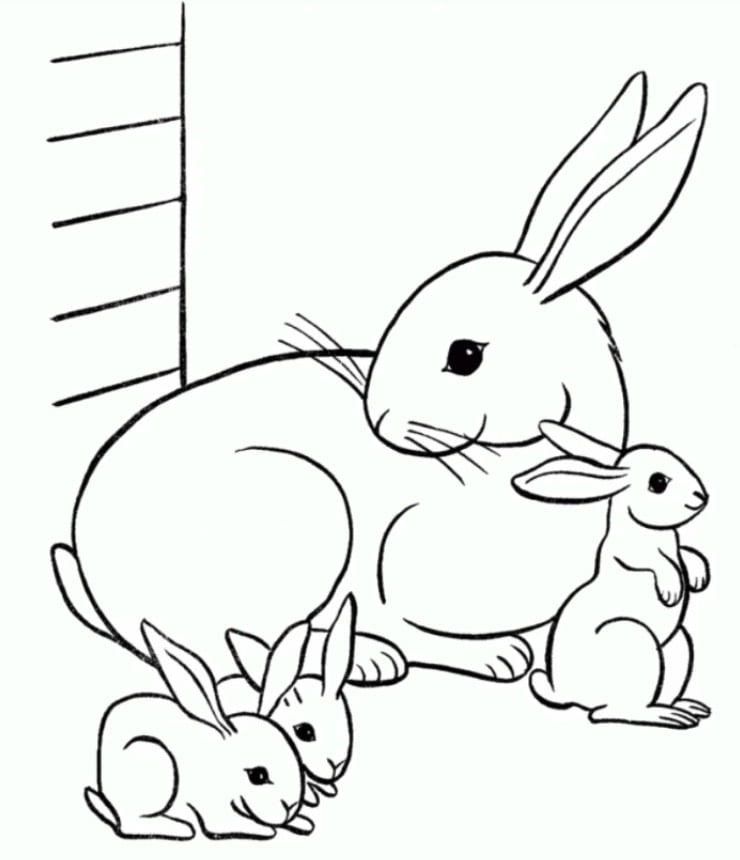Tranh tô màu con thỏ, Bài thơ Thỏ con