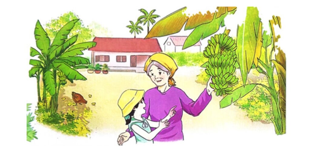 Bài thơ Bà nội, bà ngoại (Nguyễn Hoàng Sơn) (SGK Tiếng Việt 2) | GợiÝ.vn