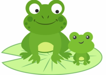 Bài thơ Chú ếch: Có chú là chú ếch con