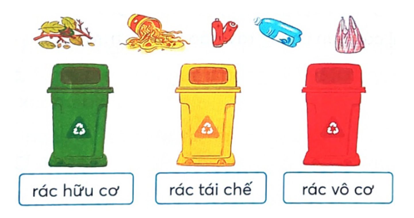 Bạn biết phân loại rác không? (Câu hỏi)