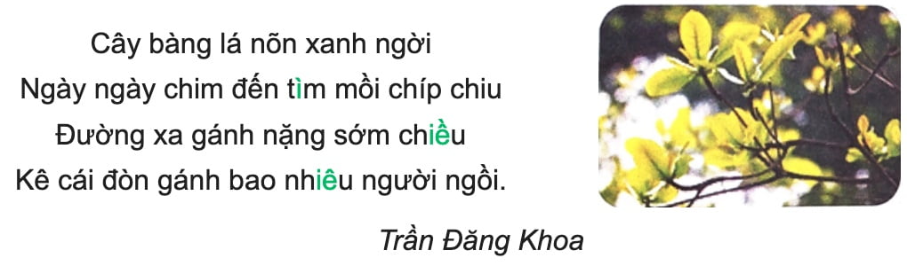 Cây bàng | Bài thơ Cây bàng (SGK Tiếng Việt lớp 2)