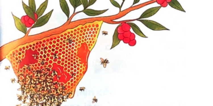 Ong xây tổ | Tập đọc Ong xây tổ