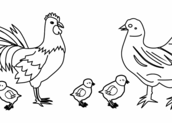 Thầy giáo gà trống | Bài thơ Thầy giáo gà trống