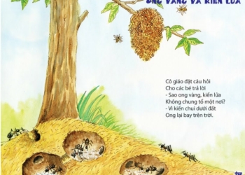 Ong vàng và kiến lửa | Bài thơ Ong vàng và kiến lửa