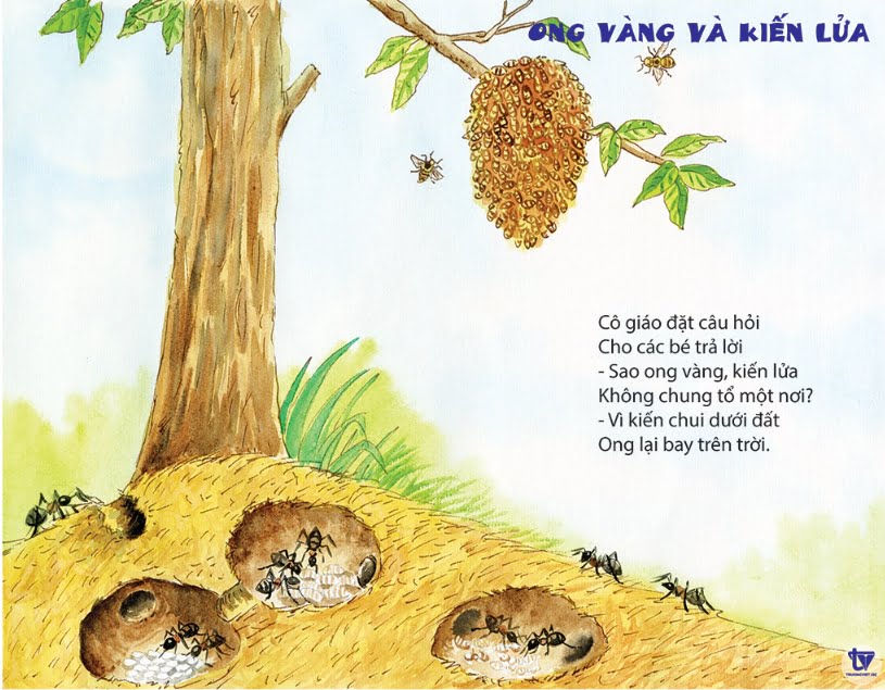Ong vàng và kiến lửa | Bài thơ Ong vàng và kiến lửa