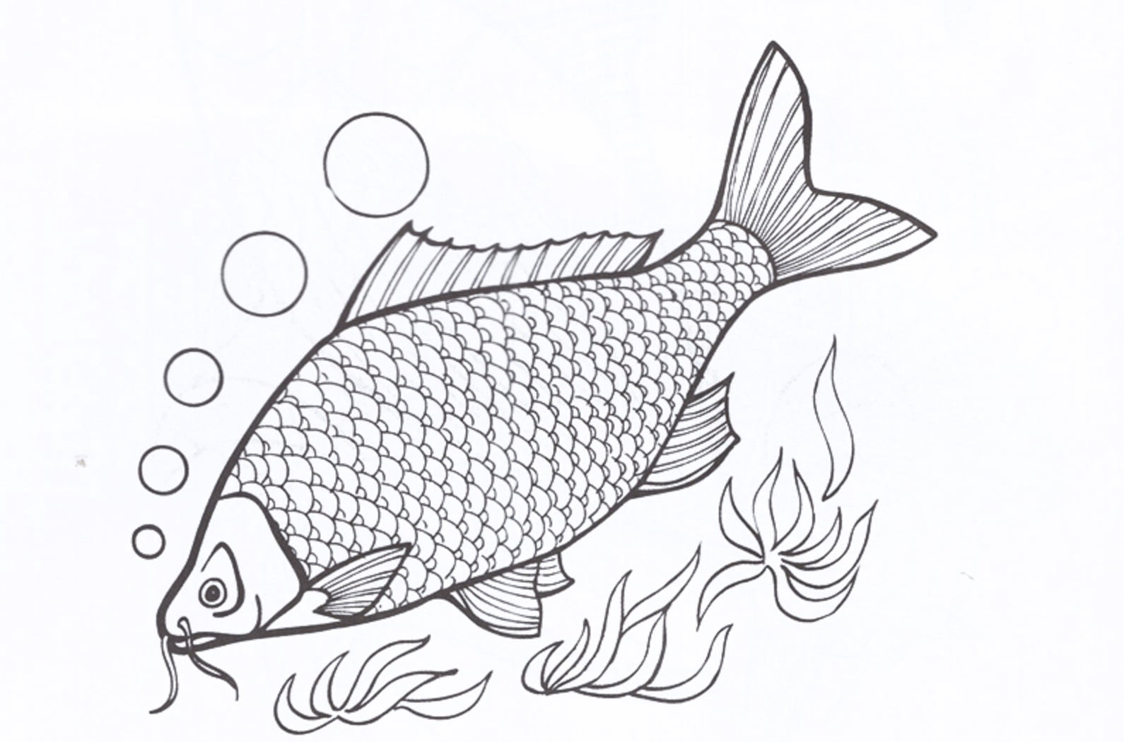 Tô màu Con cá chép | Bài thơ Con cá chép